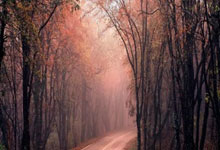 泰国球队实力不俗，斩获胜利赢得掌声