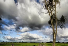 华人球员闪耀英超赛场，助球队取胜