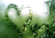 狼队逆转战胜对手，豪取胜利