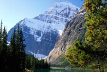 王者也会迷路：比利时队面临困难，需要找到突破口